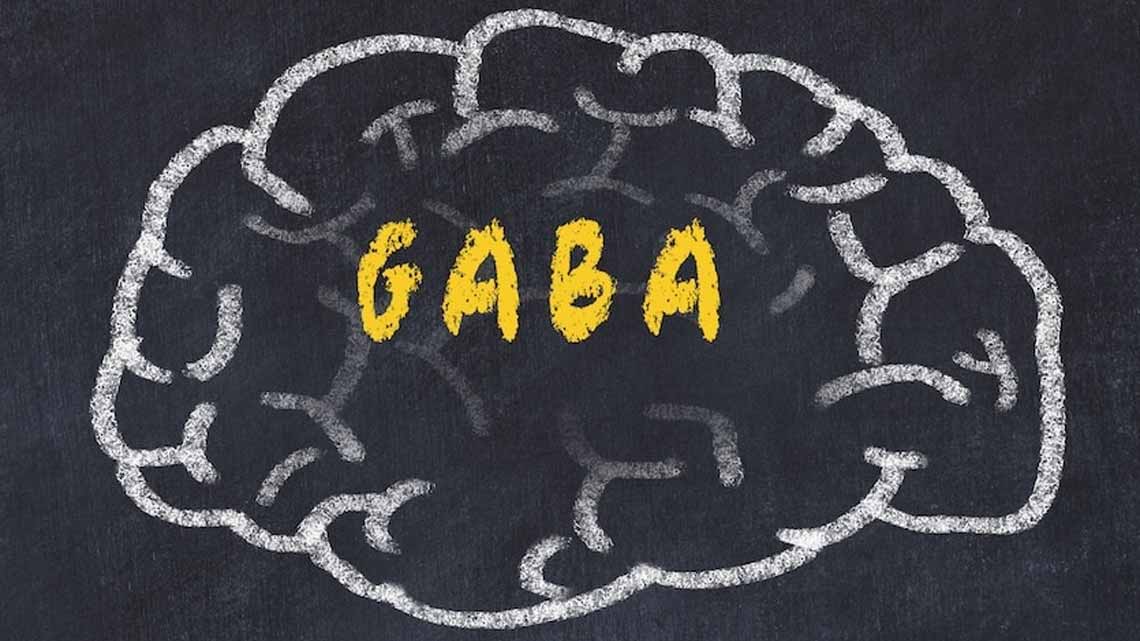 Optimiza tu Bienestar con Precursores y Cofactores del GABA