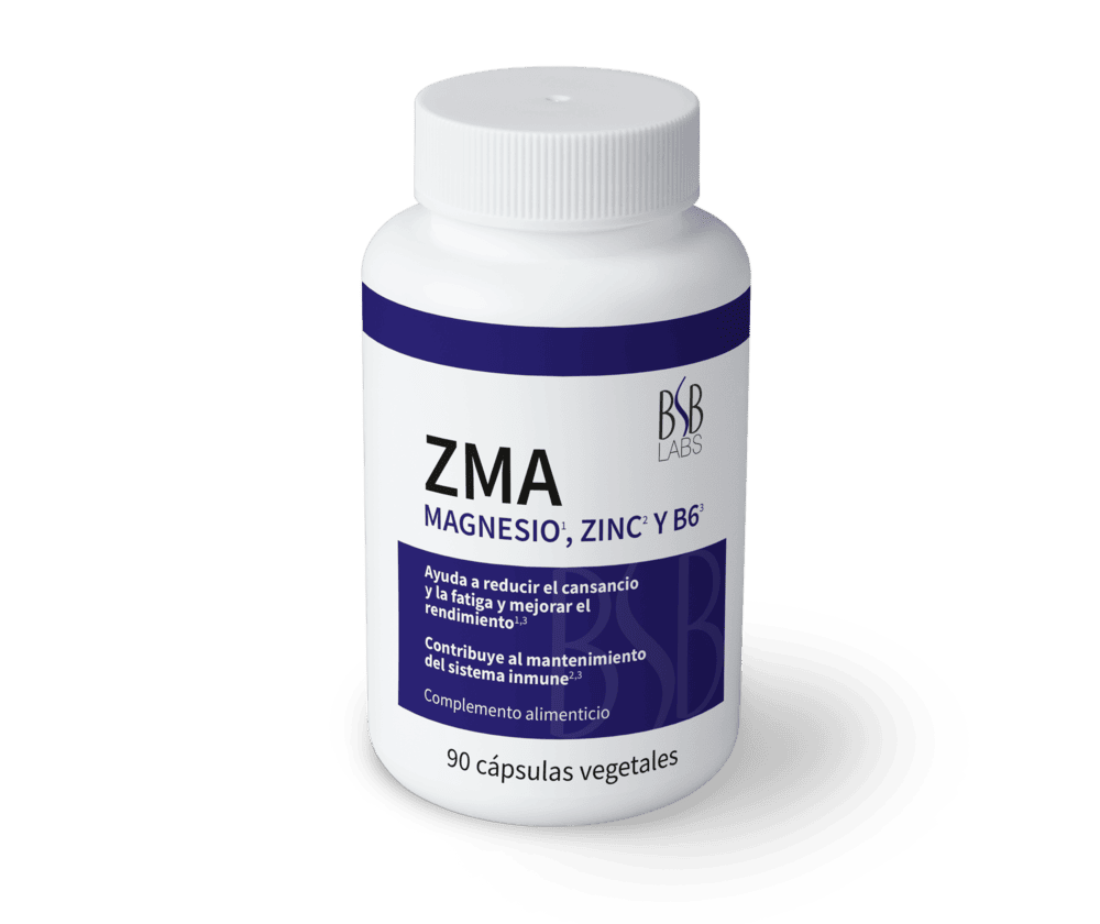 Comprar online ZMA MAGNESIO, ZINC Y B6